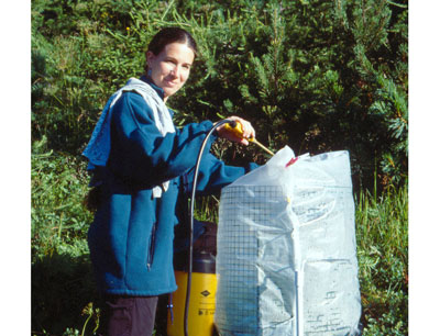 Julia Seeber bei ihrer Forschungsarbeit im Gelände