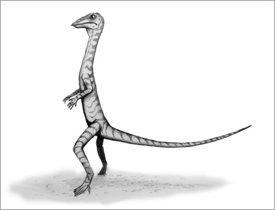 Rekonstruktion des jugendlichen Exemplars des Reptils Langobardisaurs pandolfii aus S …