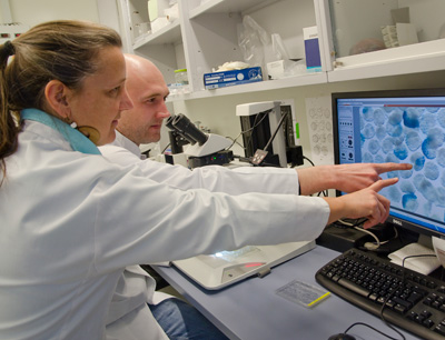 Ute Rothbächer und Willi Kari vom Ciona Lab untersuchen, welche Mechanismen während d …