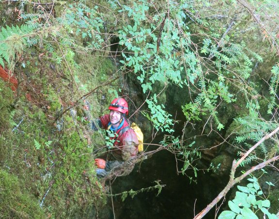 Paul Wilcox rappels down into a green overgrown cave entrance.