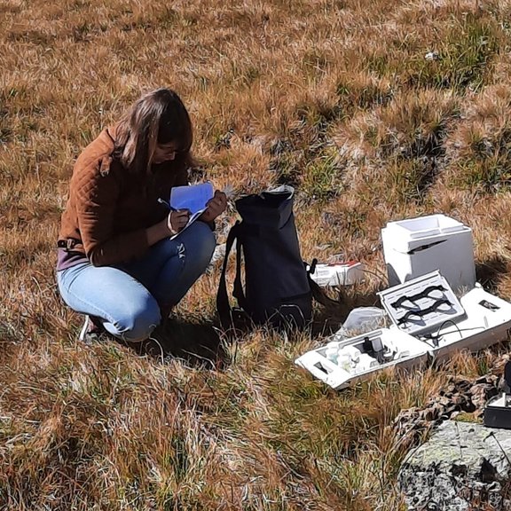 PhD student Charlotte Permann measuring in the field