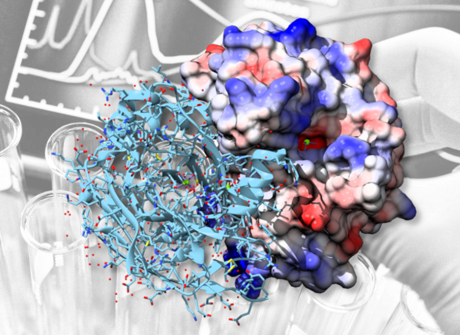 Abbildung: Molekularbiologie von Proteinen und Enzymen