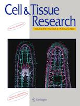 Cover of Cell and Tissue Research