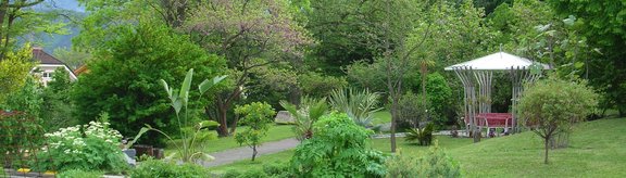 Blick in den Park mit Duft- und Tastgarten