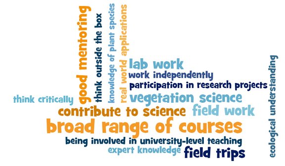 Word Cloud: Answers to the question "Looking back on your studies, what aspects were most positive and helpful for your career?"