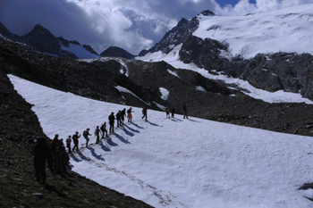 jungforschertage 2010