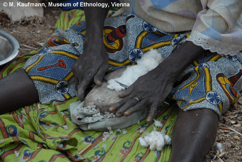 Burkina Faso, cleaning cotton