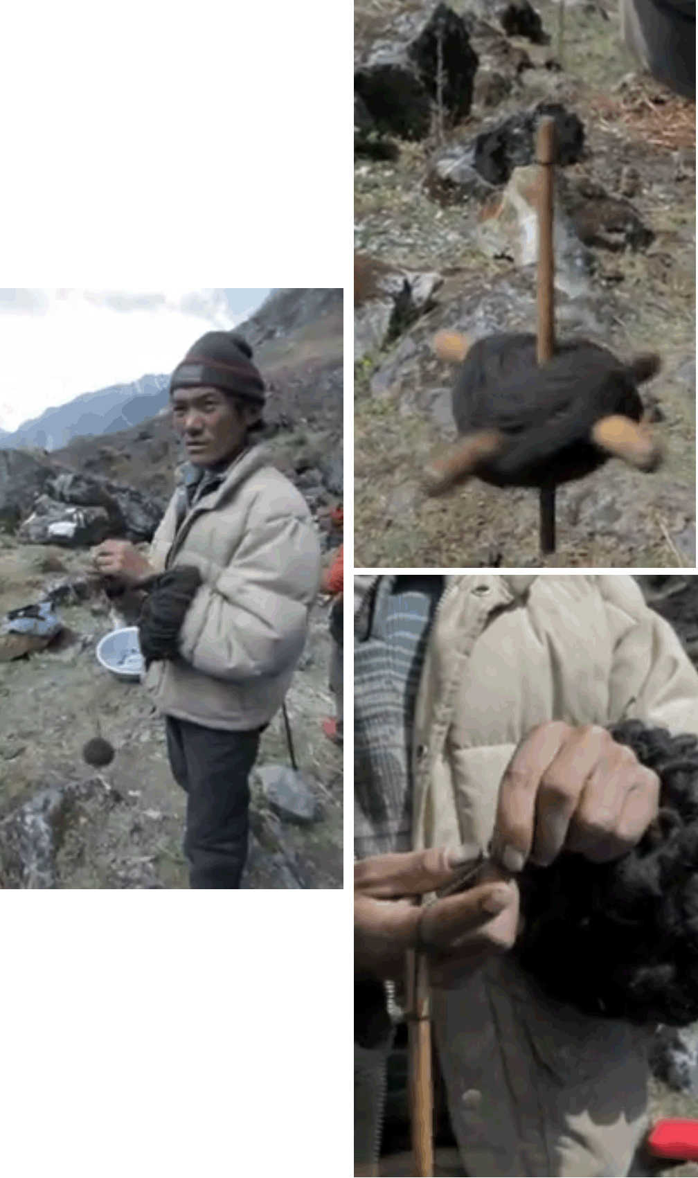 Tibet, Mt. Everest, shepherd spinning Tibet, Mt. Everest, shepherd spinning