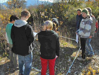 Die Schüler bei Geländeerhebungen in einer Renaturierungsfläche bei Kranebitten