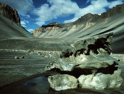 Die Verhältnisse in antarktischen Trockentälern sind mit jenen vor Millionen von Jahr …