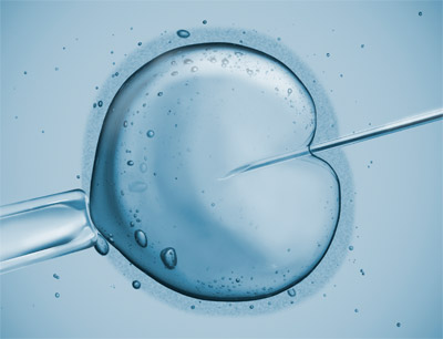 Die gesetzlichen Regelungen zur künstlichen Befruchtung sind in Österreich härter als …