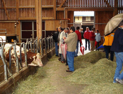 Die kanadische Delegation besichtigte die BIO4GAS-Anlage in Rotholz