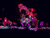 Mit einem konfokalen Laser-Scanning-Mikroskop aufgenommene Ansicht aus einem Biofilm, …