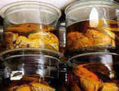 Opfer der NS-Zeit, Foto: Profil