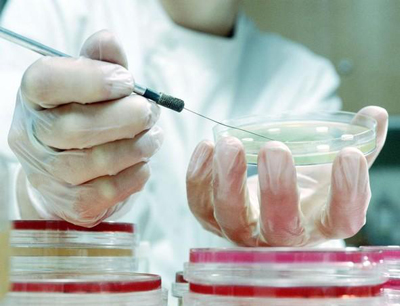 Wirtschaftliche Verwertbarkeit von Forschungsergebnissen wird geprüft.