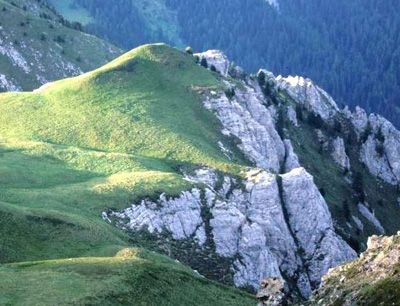 Niedrigster GLORIA-Gipfel  (2199 m Meereshöhe) in den Dolomiten. Hält die Erwärmung w …