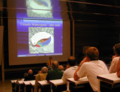 Virtuelle Wasserspiele - oder mehr