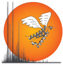 Aufgrund elektrostatischer Wechselwirkungen bleibt die Struktur des Proteins KIX auch im gasförmigen Zustand für mindestens 4 Sekunden erhalten. 