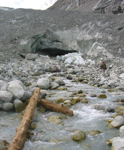 Über 8000 Jahre alte Hölzer vor dem Tor des Mont Miné Gletschers, Wallis, Schweiz, Belege für eine langandauernde Periode kleinerer Gletscherausdehnung als gegenwärtig im 9. Jahrtausend vor heute.