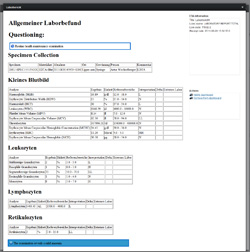 Beispiel für einen elektronisch übertragenen Laborbefund im von Michael Borovicka und seinem Team entwickelten System. Beispiel für einen elektronisch übertragenen Laborbefund im von Michael Borovicka und seinem Team entwickelten System.