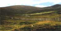 Cairn Gorm skiiing area