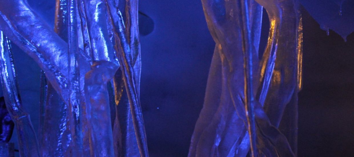 IMG 1672 (FILEminimizer)