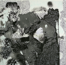 visual-appropriations visual-appropriations