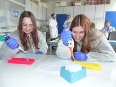 Sparkling Science-Elritzen2