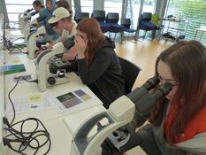 Sparkling Science-Elritzen1