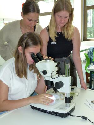Mikroskopworkshop1