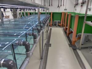 Aquarienraum FG Wanzenboeck-ILIM-2015