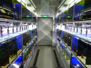 Aquarienraum FG Lamatsch-2015-ILIM