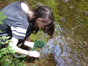 Exkursion-UNESCO-NMS-Mondsee