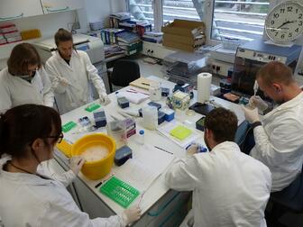 Laboranalysen Hydrobotanikkurs 2015