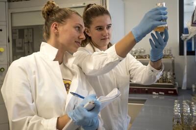 Sparkling Bakteria-Y Pitt