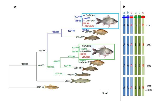 Grafik-Kuhl et al 2022