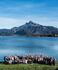 Group picture FBFW 2015 Mondsee