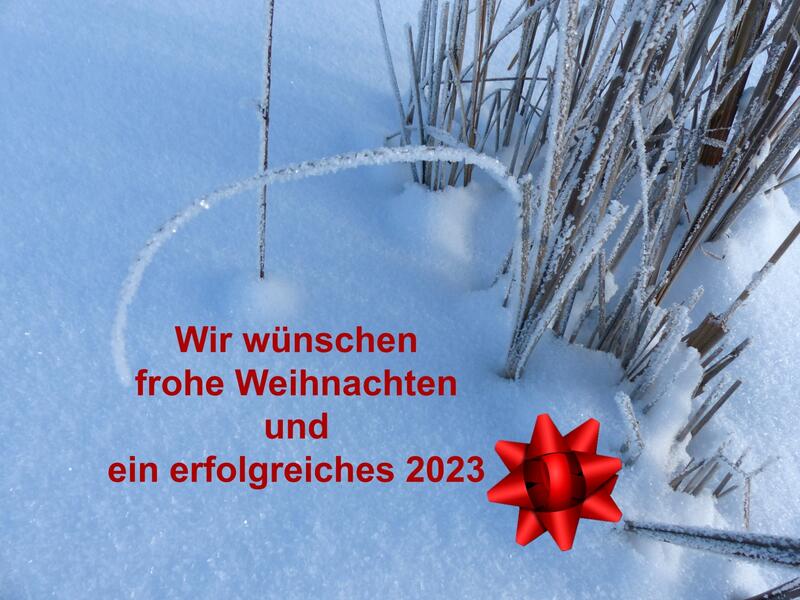Weihnachten 2022