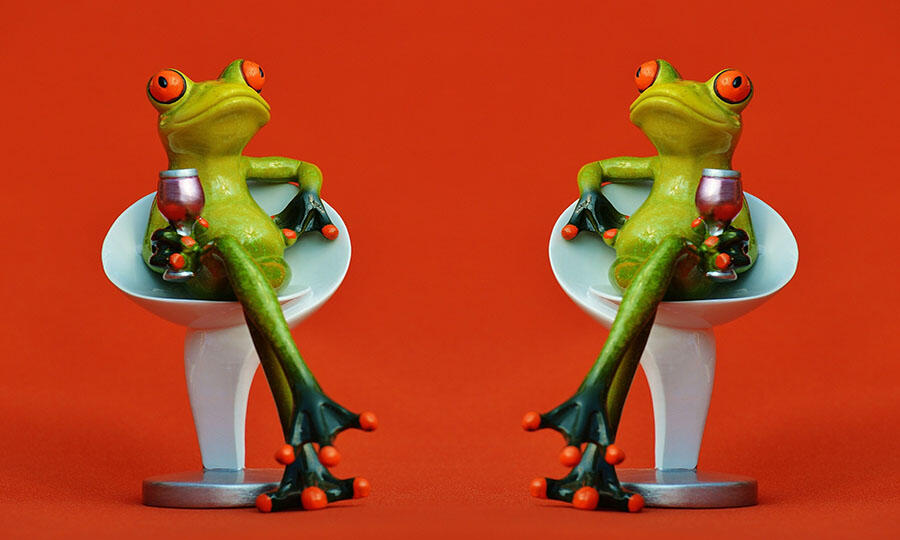 frogs-1397997_1920.jpg