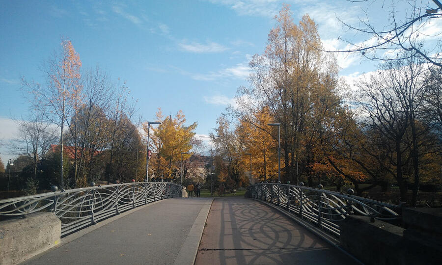 BeitragsbildWallinger