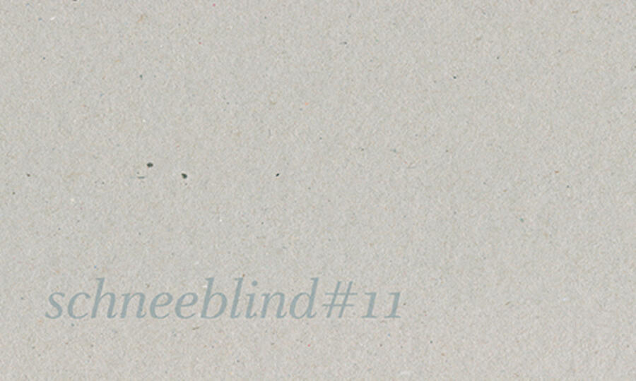 schneeblind11_500x300