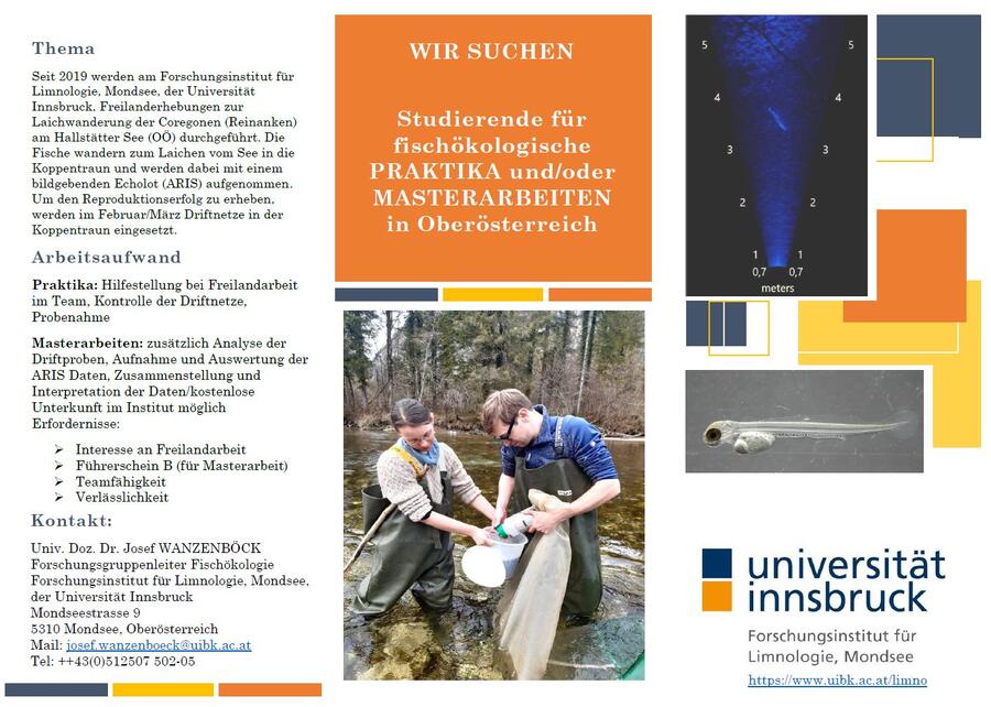 Praktika und MSc-2023