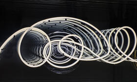 Symbolbild für Froschung