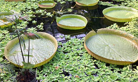 Symbolbild für Institute