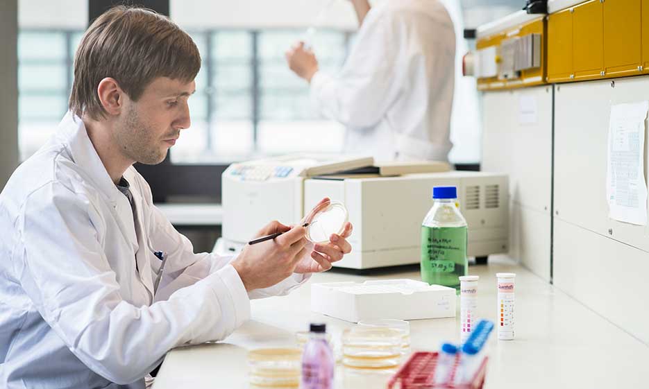 Symbolbild für Forschung