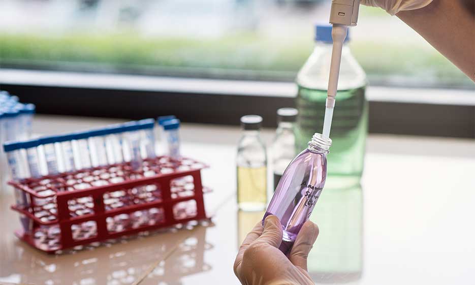 Symbolbild für Forschung