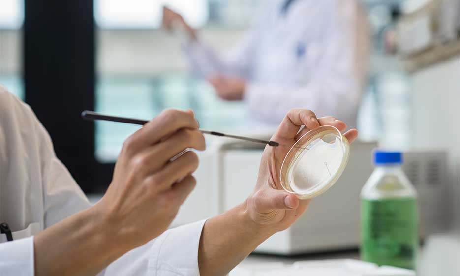 Symbolbild für Lehre