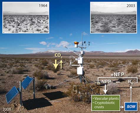 Mess_Wachstum Mess_Wachstum