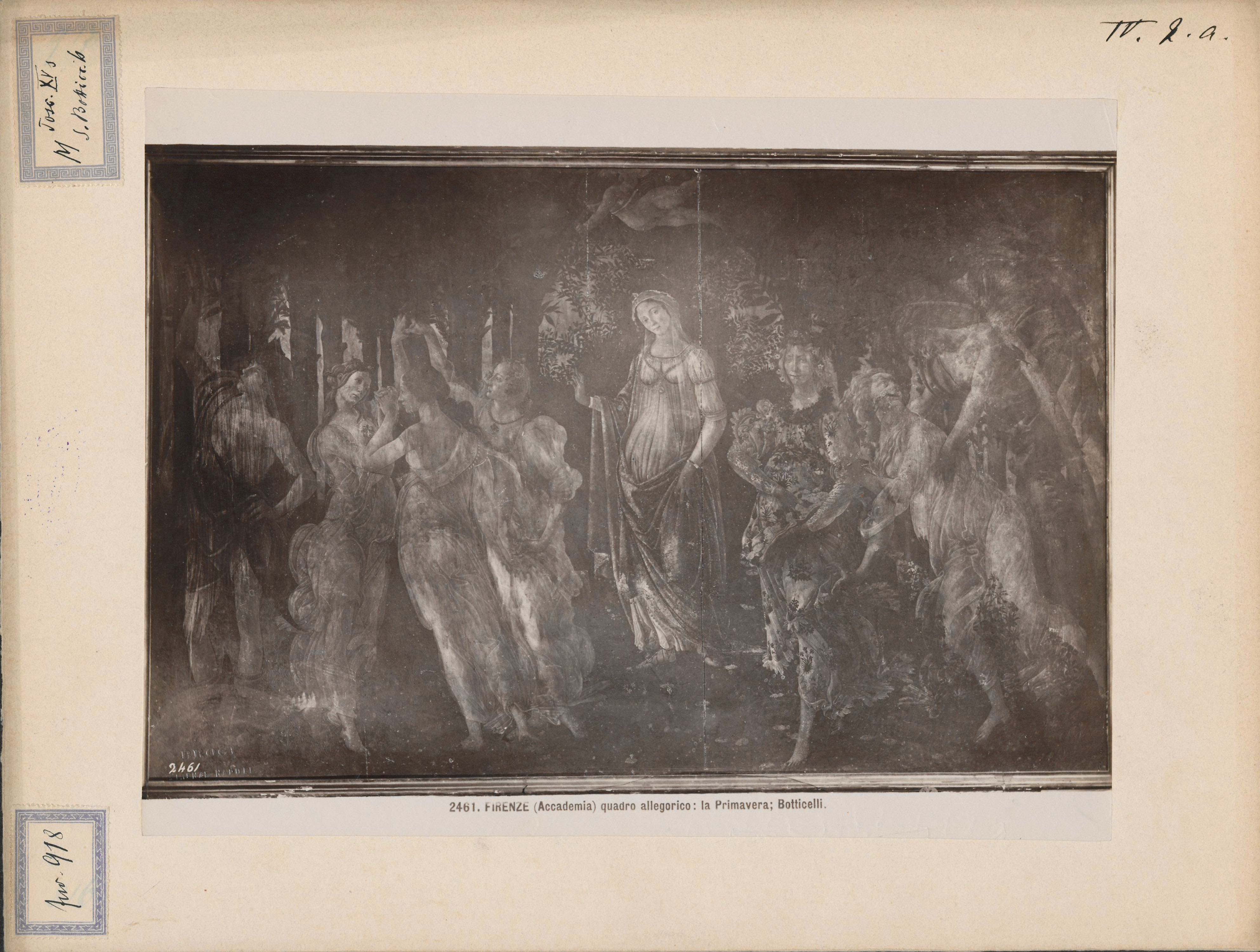 Fotografie (Albuminabzug auf Karton), Botticelli, La primavera; Inv.-Nr. 918, 25 x 32,5 cm