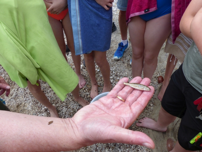 Oberburgau-Sparkling Science-Elritzen-SWanzenboeck3-2024